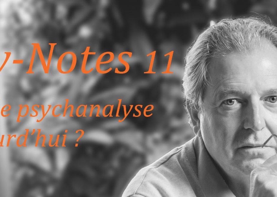 Psy-Notes 11 : Nous répétons nos traumatismes pour nous réparer !?